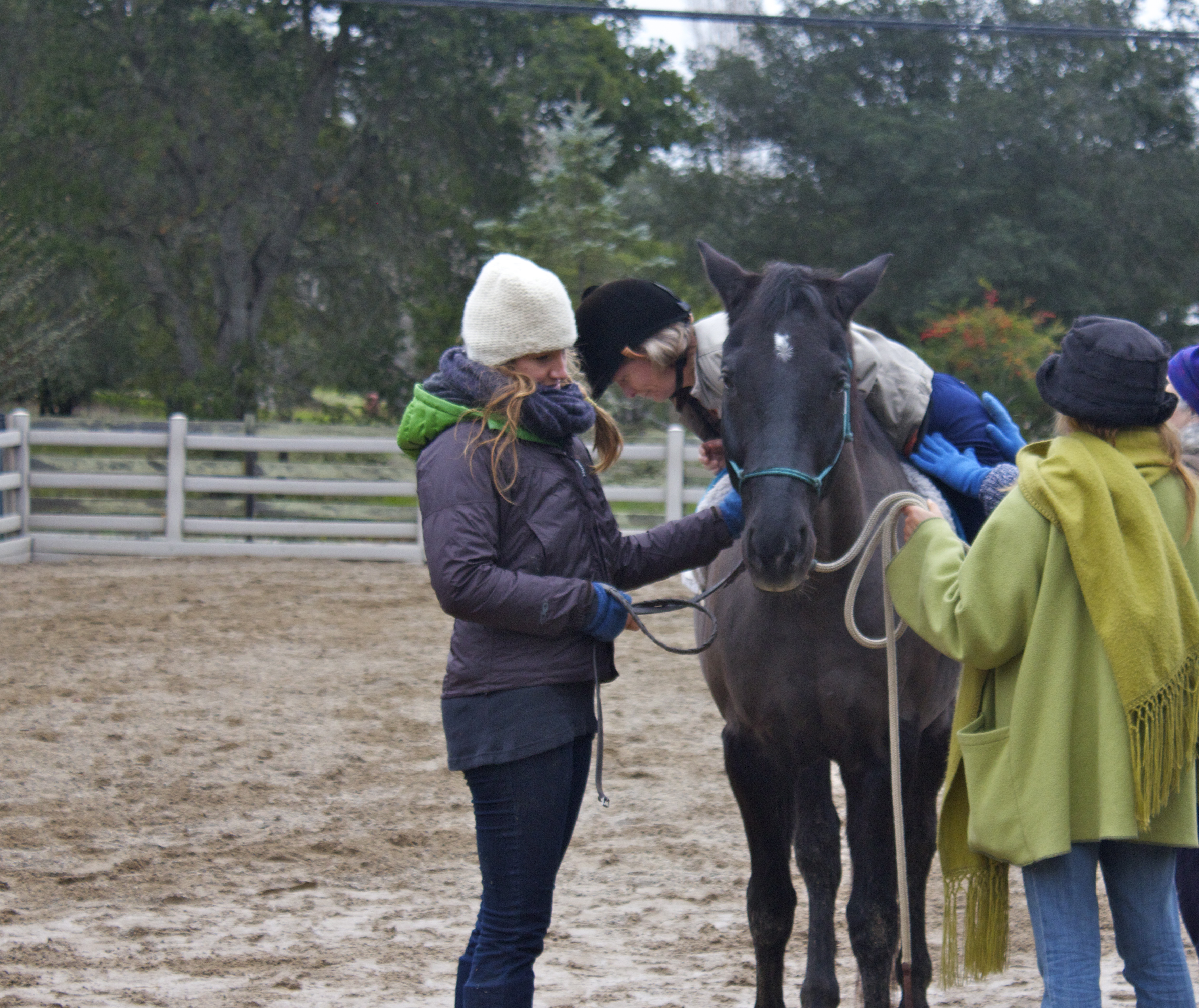 Horse Course
