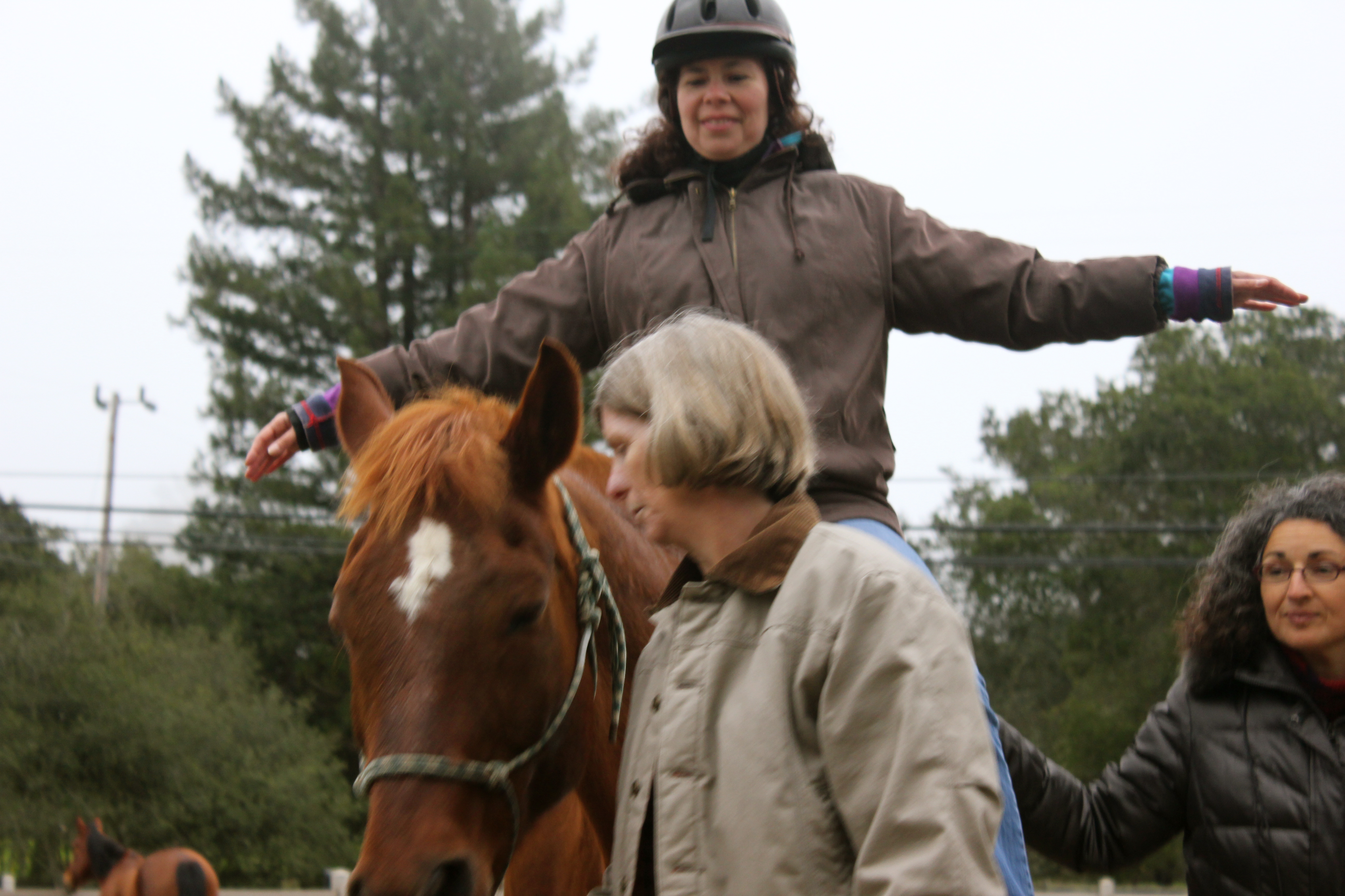 Horse Course